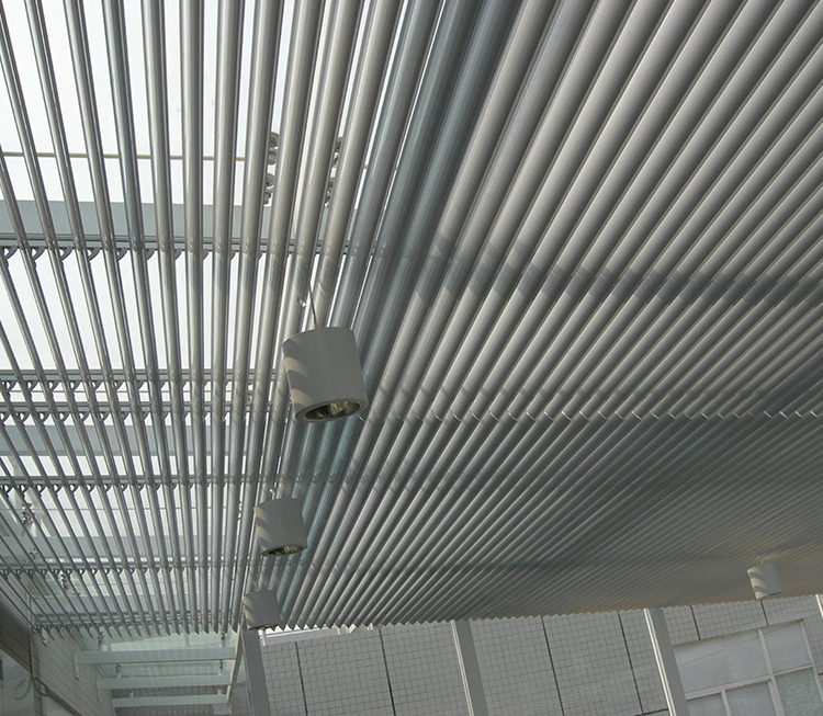 歐式丝瓜污视频在线观看