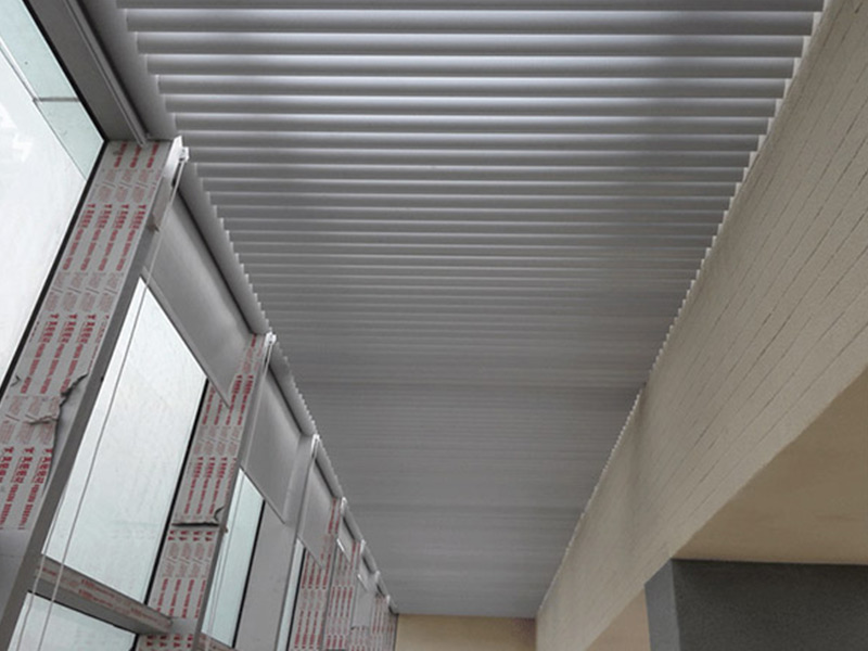 電動歐式丝瓜污视频在线观看