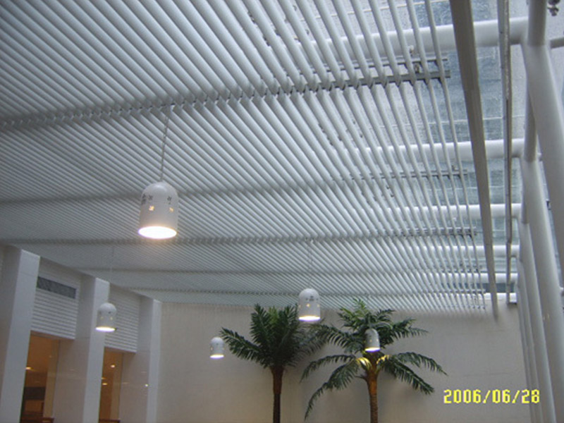 電動歐式丝瓜污视频在线观看