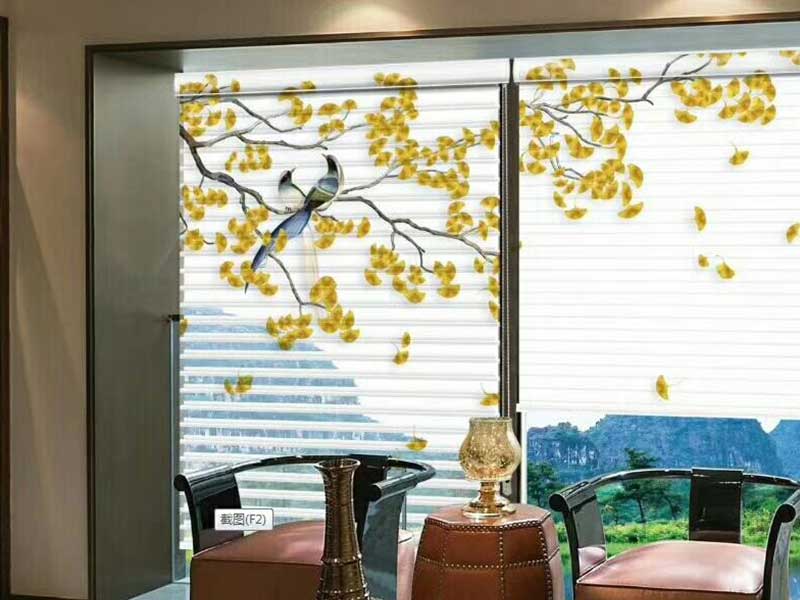 丝瓜色版视频APP